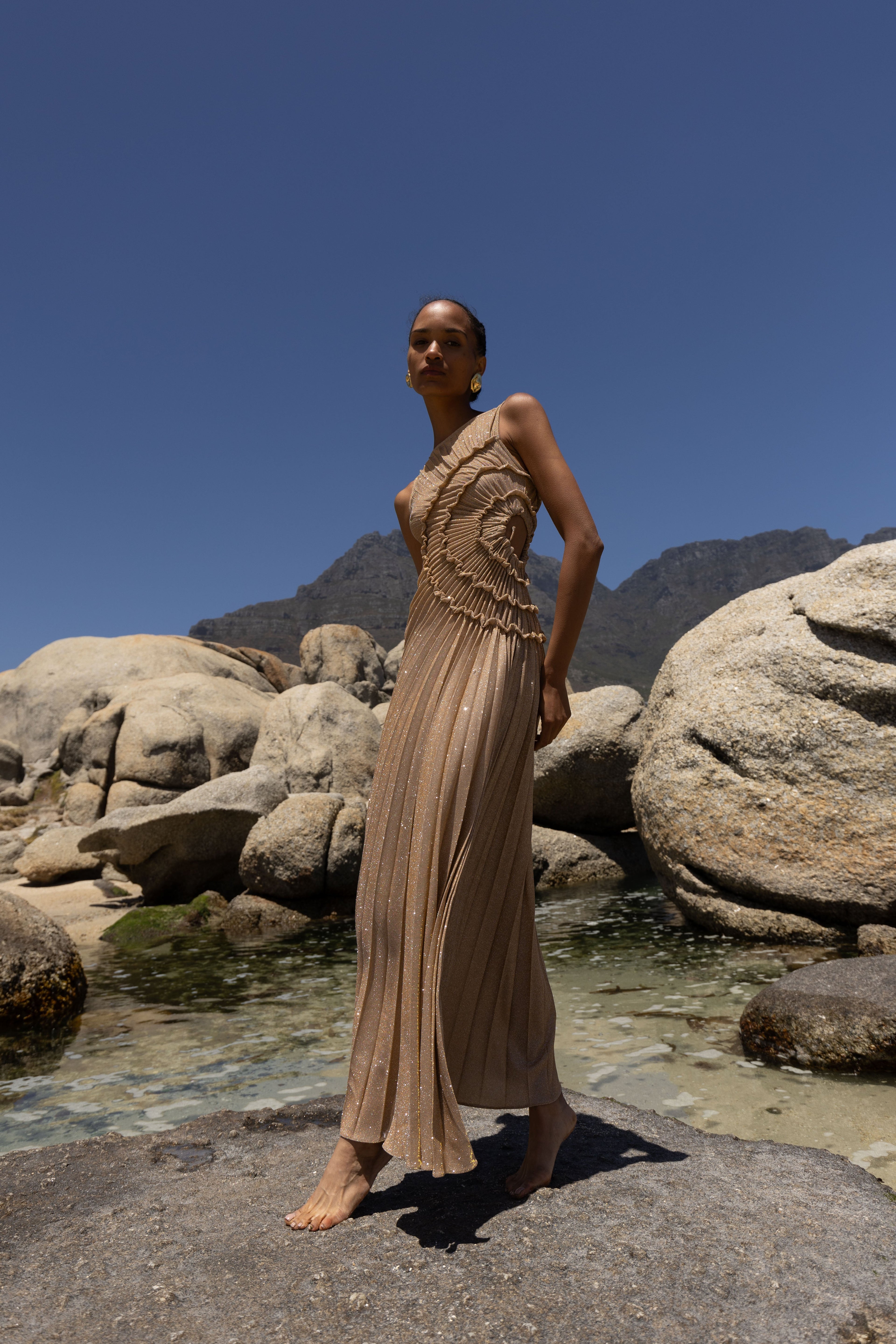 Solar Dress Floor Length