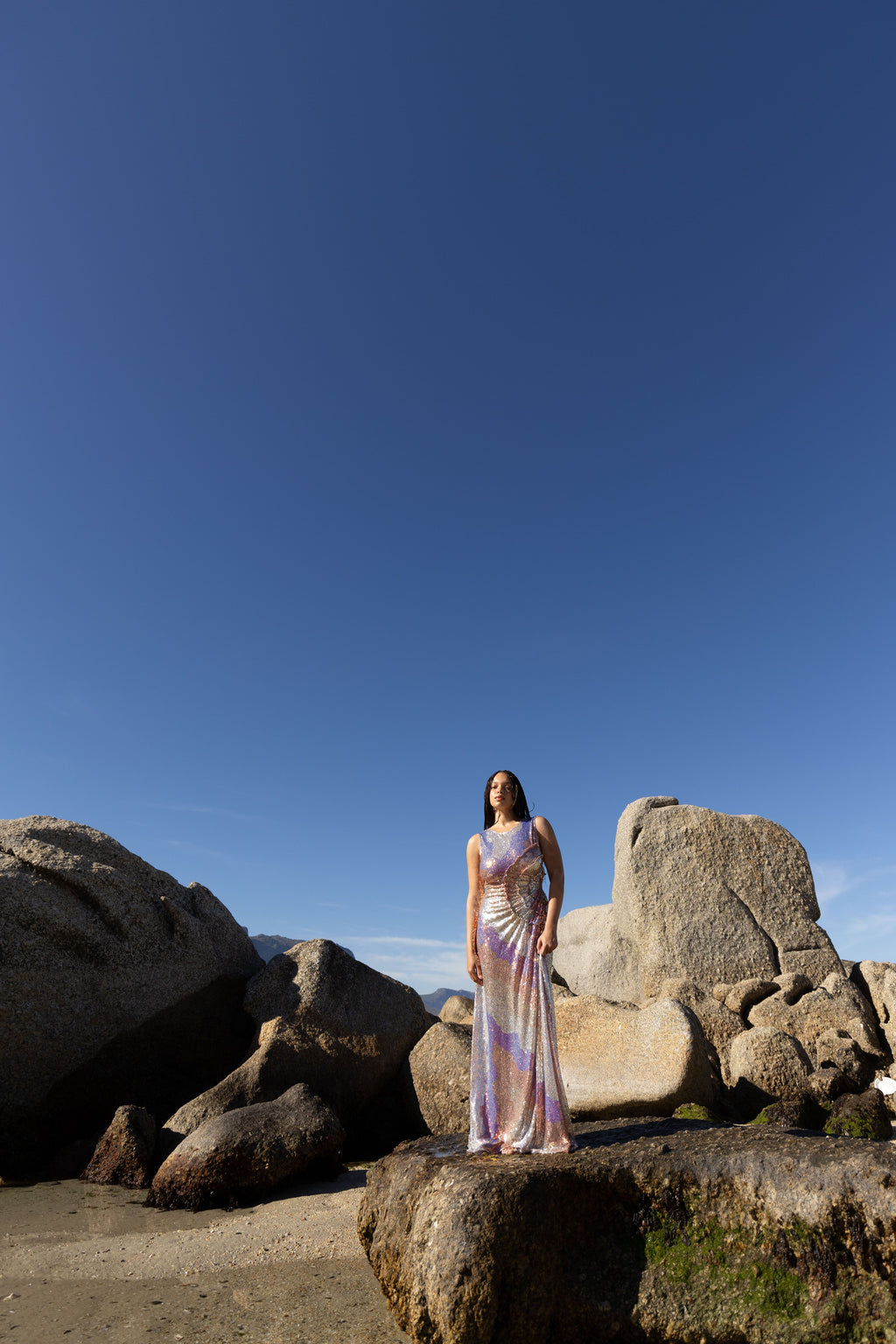 Cosmos Dress Floor Length