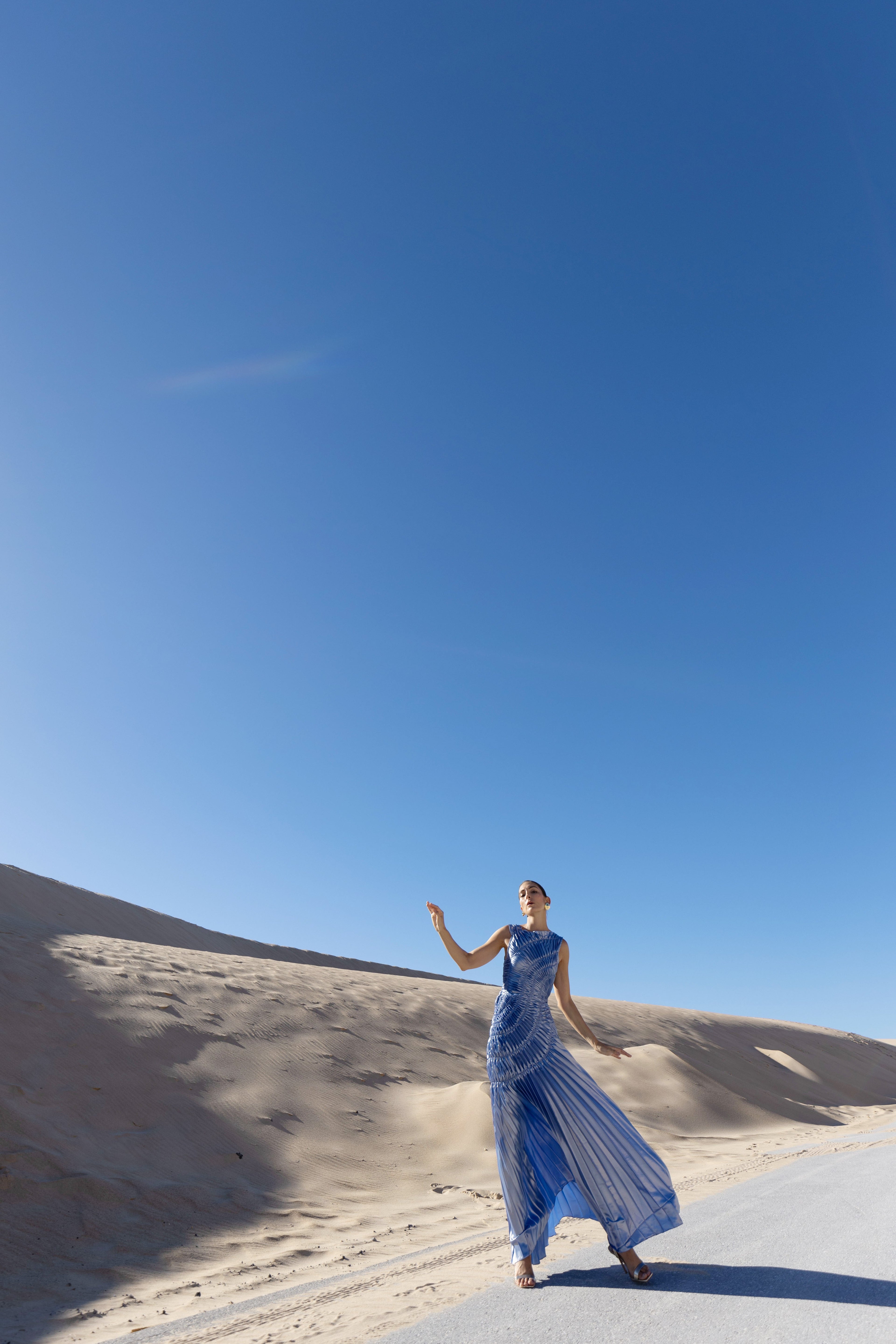 Fossil Dress Floor Length Metallic
