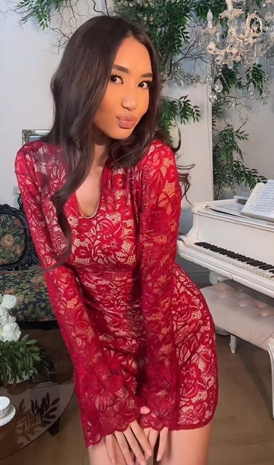 Sexy Slim Long Sleeve Mini Lace Dress